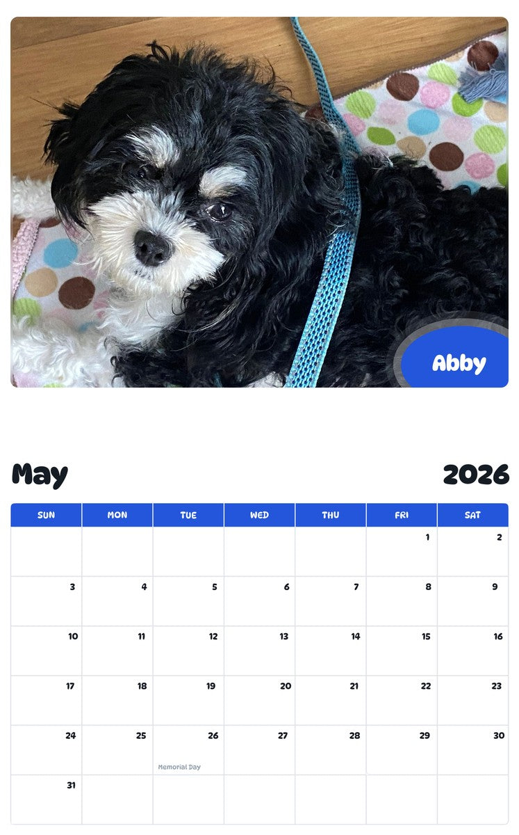 2026 - 2027 Abby - Pawidols Pet Calendar