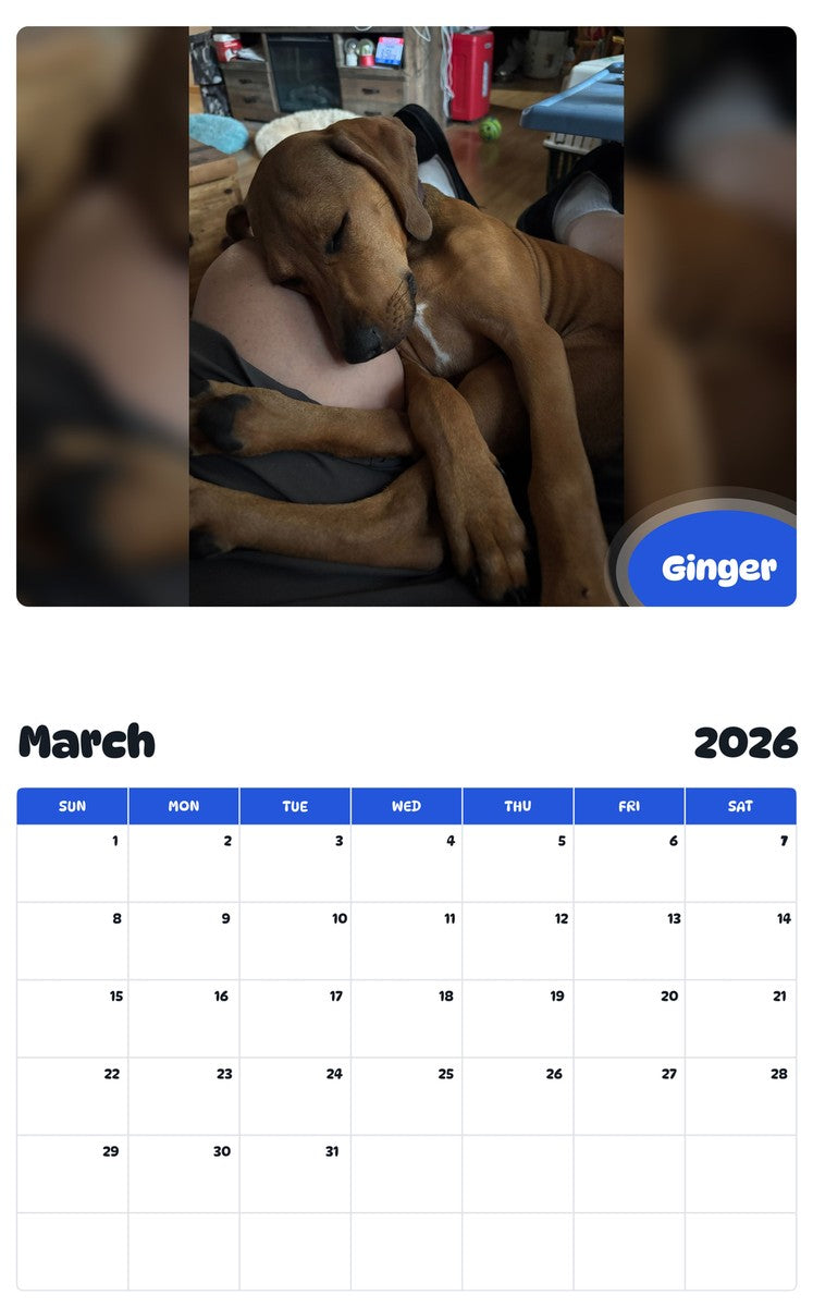 November 2025 - October 2026 Ginger - Pawidols Pet Calendar