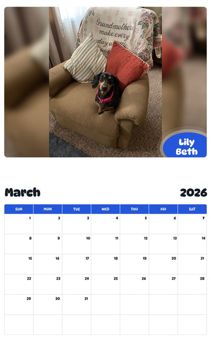 November 2025 - October 2026 Lily Beth - Pawidols Pet Calendar