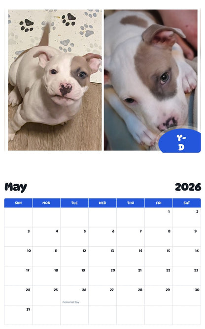 2026 - 2027 Y-D - Pawidols Pet Calendar