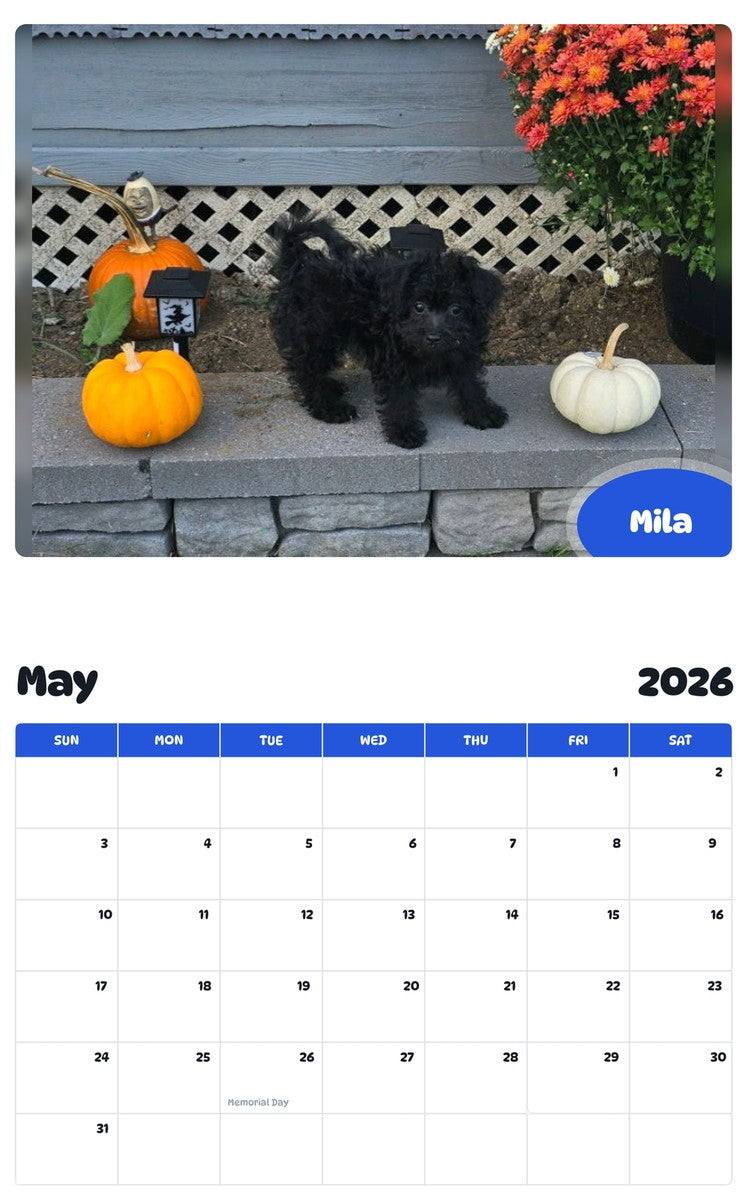 2026 - 2027 Mila - Pawidols Pet Calendar