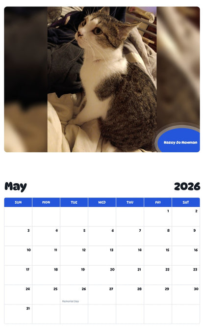2026 - 2027 Hazey Jo Newman - Pawidols Pet Calendar