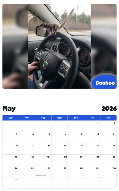 2026 - 2027 Booboo - Pawidols Pet Calendar