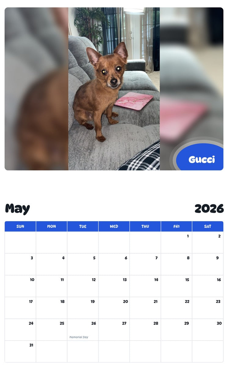 2026 - 2027 Gucci - Pawidols Pet Calendar