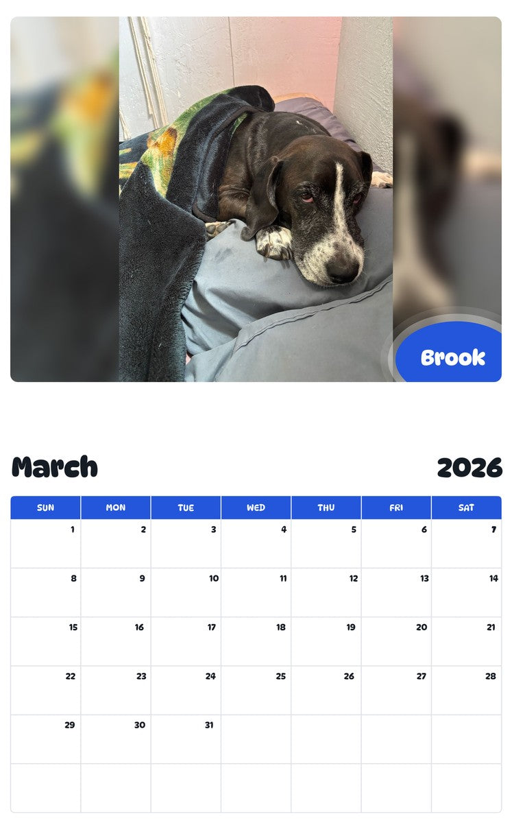 November 2025 - October 2026 Brook - Pawidols Pet Calendar