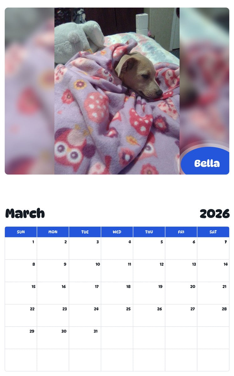 November 2025 - October 2026 Bella - Pawidols Pet Calendar