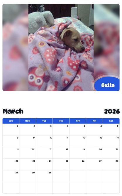 November 2025 - October 2026 Bella - Pawidols Pet Calendar