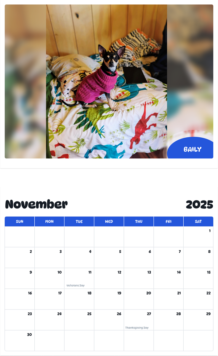 July 2025 - June 2026 Baily - Pawidols Pet Calendar