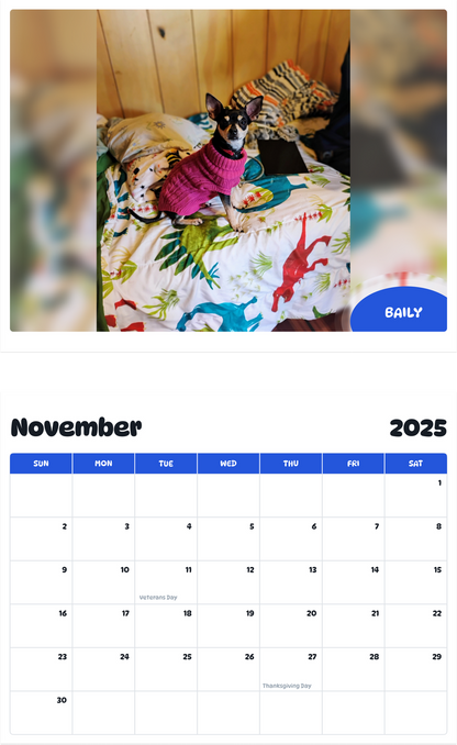 July 2025 - June 2026 Baily - Pawidols Pet Calendar