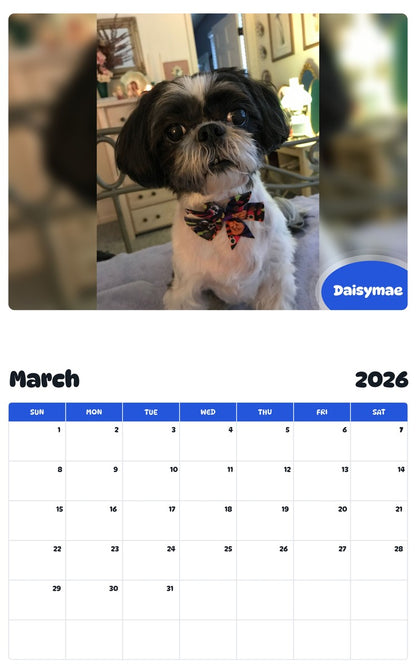 November 2025 - October 2026 Daisymae - Pawidols Pet Calendar