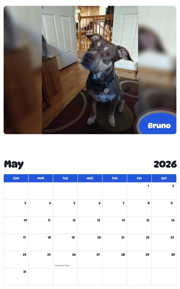 2026 - 2027 Bruno - Pawidols Pet Calendar