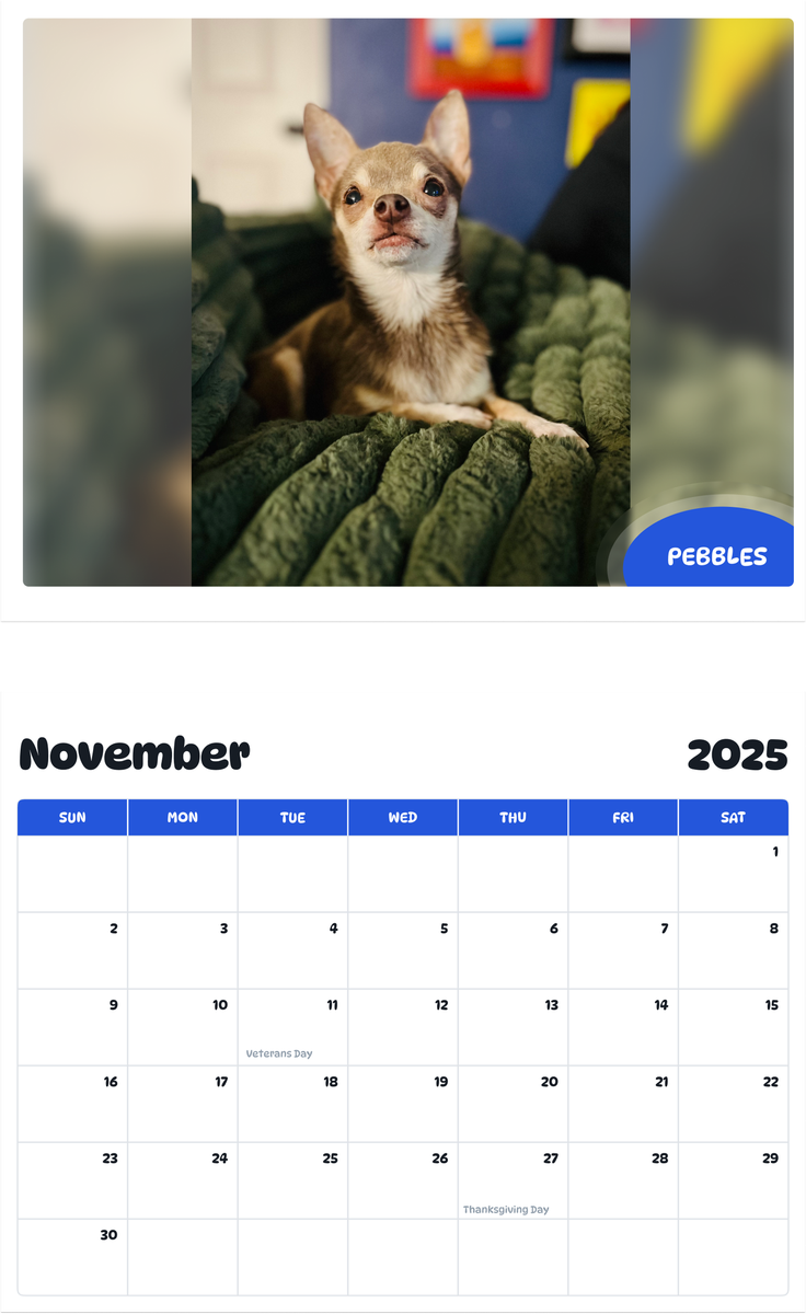 July 2025 - June 2026 Pebbles - Pawidols Pet Calendar