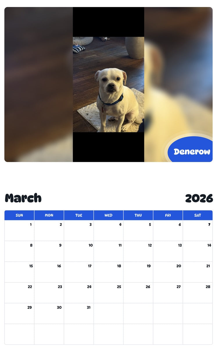 November 2025 - October 2026 Denerow - Pawidols Pet Calendar