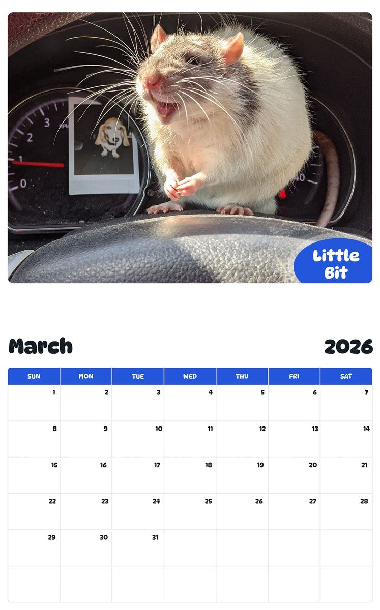November 2025 - October 2026 Little Bit - Pawidols Pet Calendar