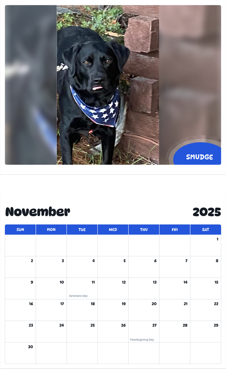 July 2025 - June 2026 Smudge - Pawidols Pet Calendar