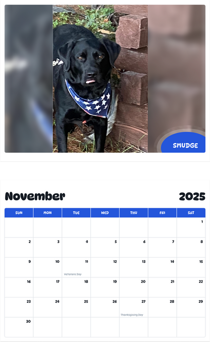July 2025 - June 2026 Smudge - Pawidols Pet Calendar