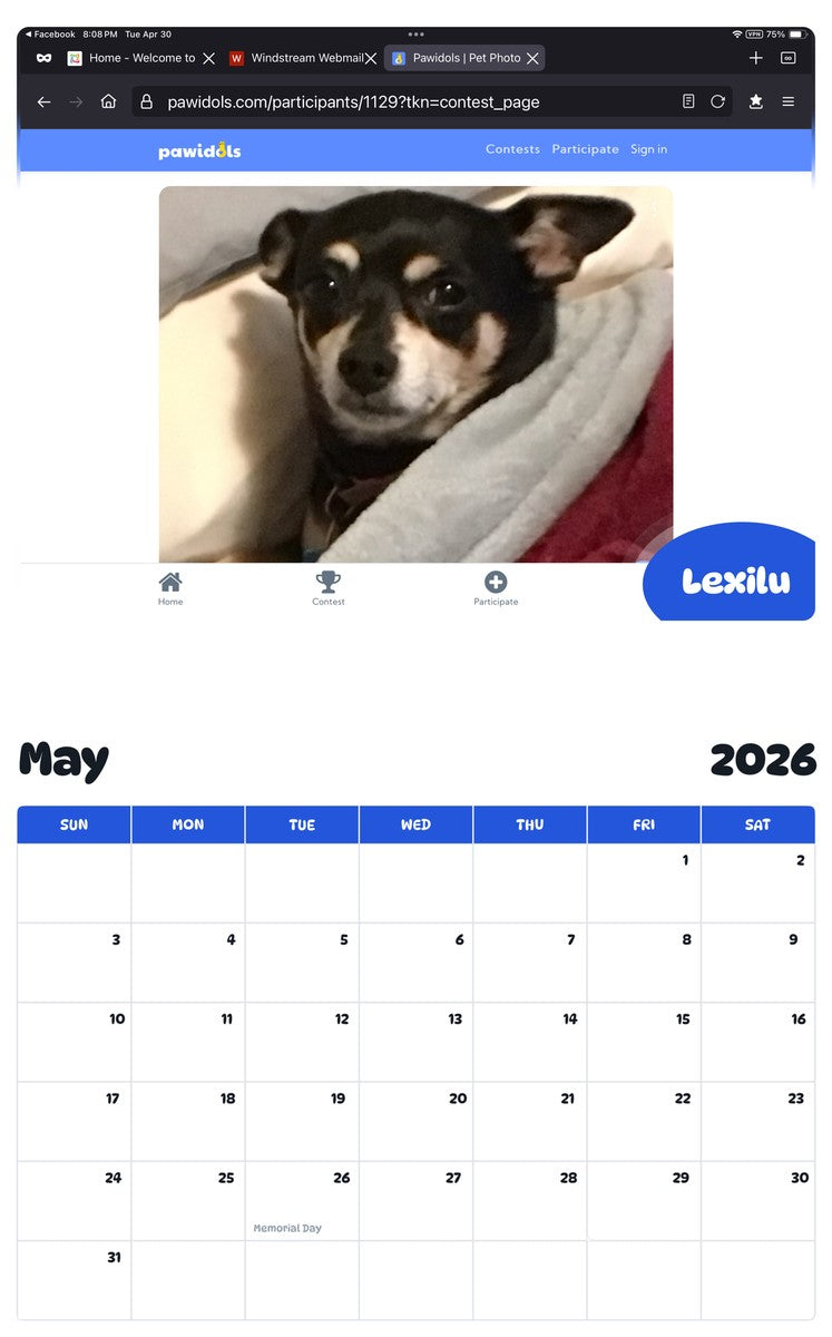 2026 - 2027 Lexilu - Pawidols Pet Calendar