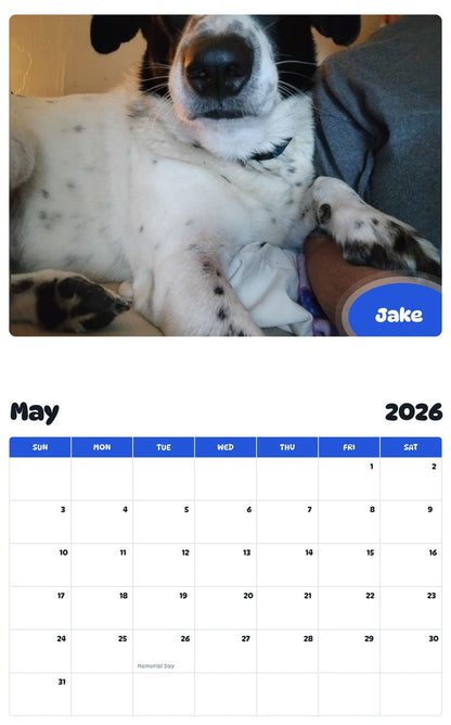2026 - 2027 Jake - Pawidols Pet Calendar