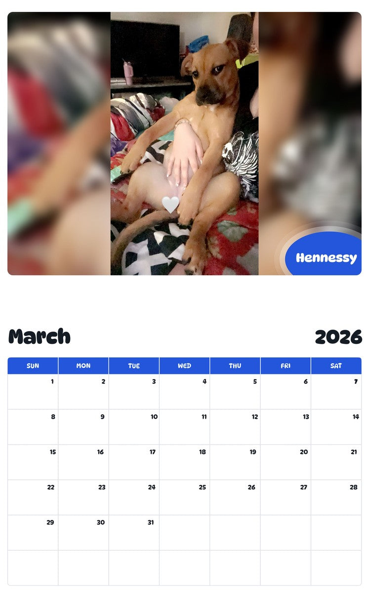 November 2025 - October 2026 Hennessy - Pawidols Pet Calendar