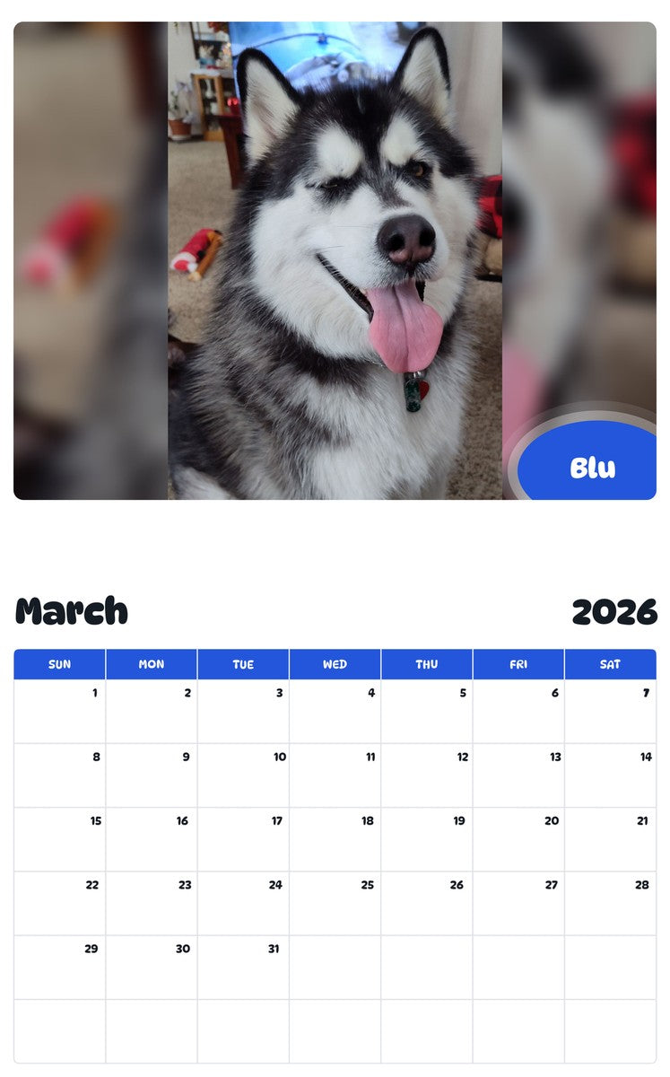 November 2025 - October 2026 Blu - Pawidols Pet Calendar