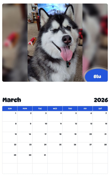 November 2025 - October 2026 Blu - Pawidols Pet Calendar