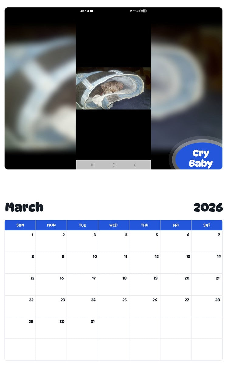 November 2025 - October 2026 Cry Baby - Pawidols Pet Calendar