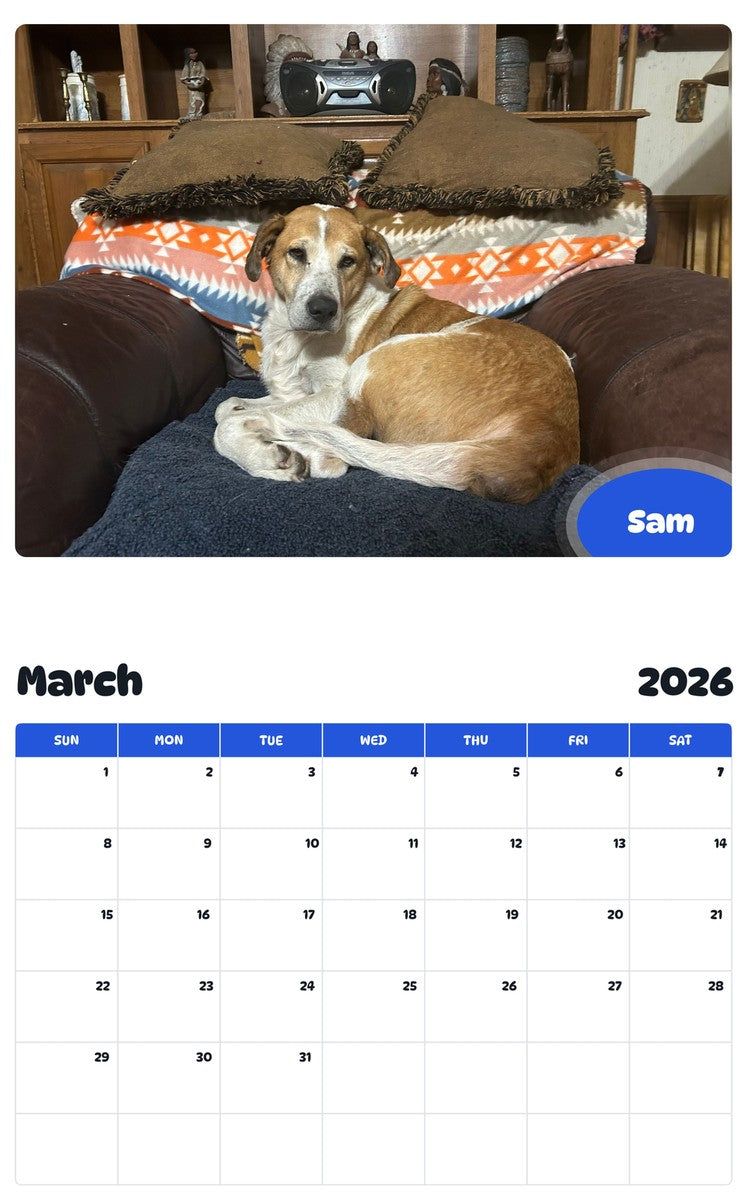 November 2025 - October 2026 Sam - Pawidols Pet Calendar