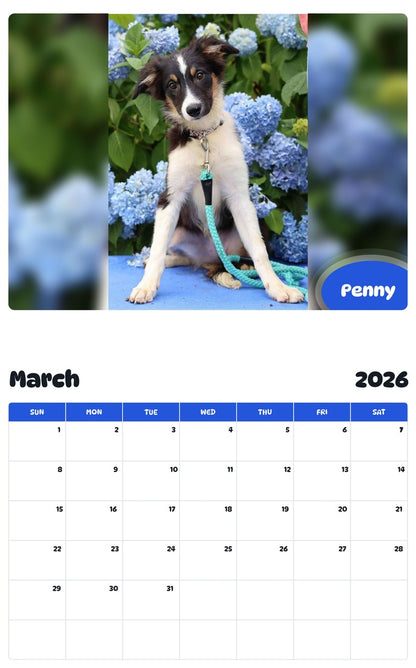 November 2025 - October 2026 Penny - Pawidols Pet Calendar