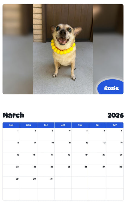 November 2025 - October 2026 Rosie - Pawidols Pet Calendar
