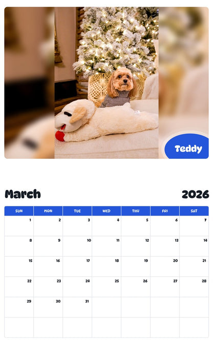 November 2025 - October 2026 Teddy - Pawidols Pet Calendar