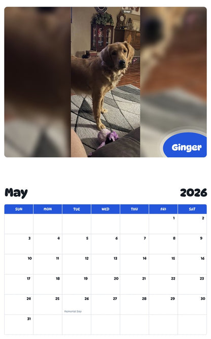 2026 - 2027 Ginger - Pawidols Pet Calendar