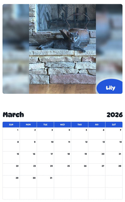 November 2025 - October 2026 Lily - Pawidols Pet Calendar