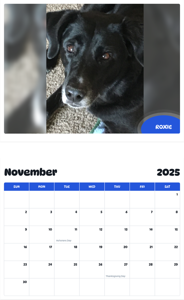 July 2025 - June 2026 Roxie - Pawidols Pet Calendar