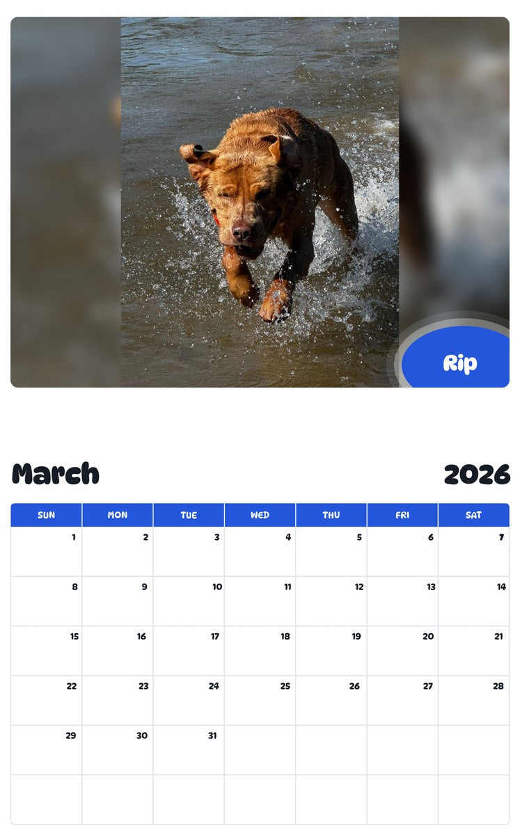November 2025 - October 2026 Rip - Pawidols Pet Calendar