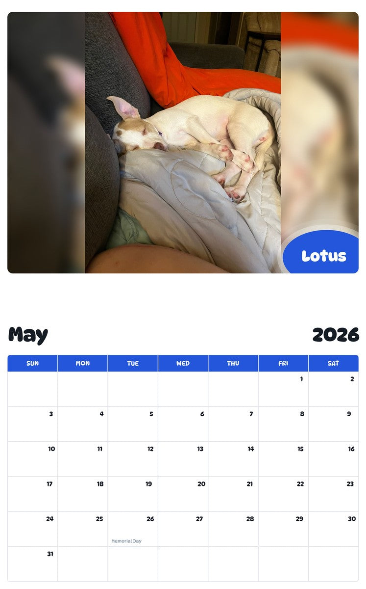 2026 - 2027 Lotus - Pawidols Pet Calendar