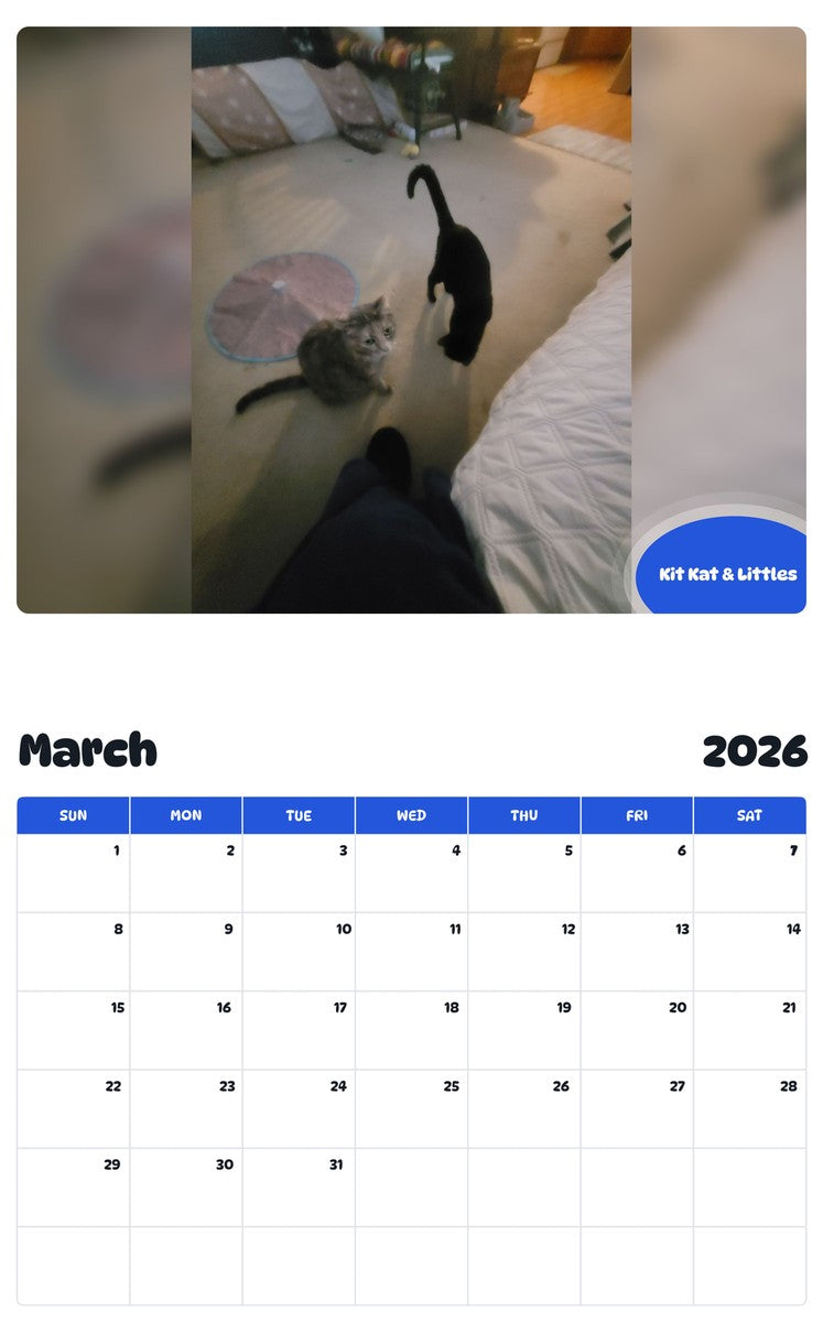 November 2025 - October 2026 Kit Kat & Littles - Pawidols Pet Calendar