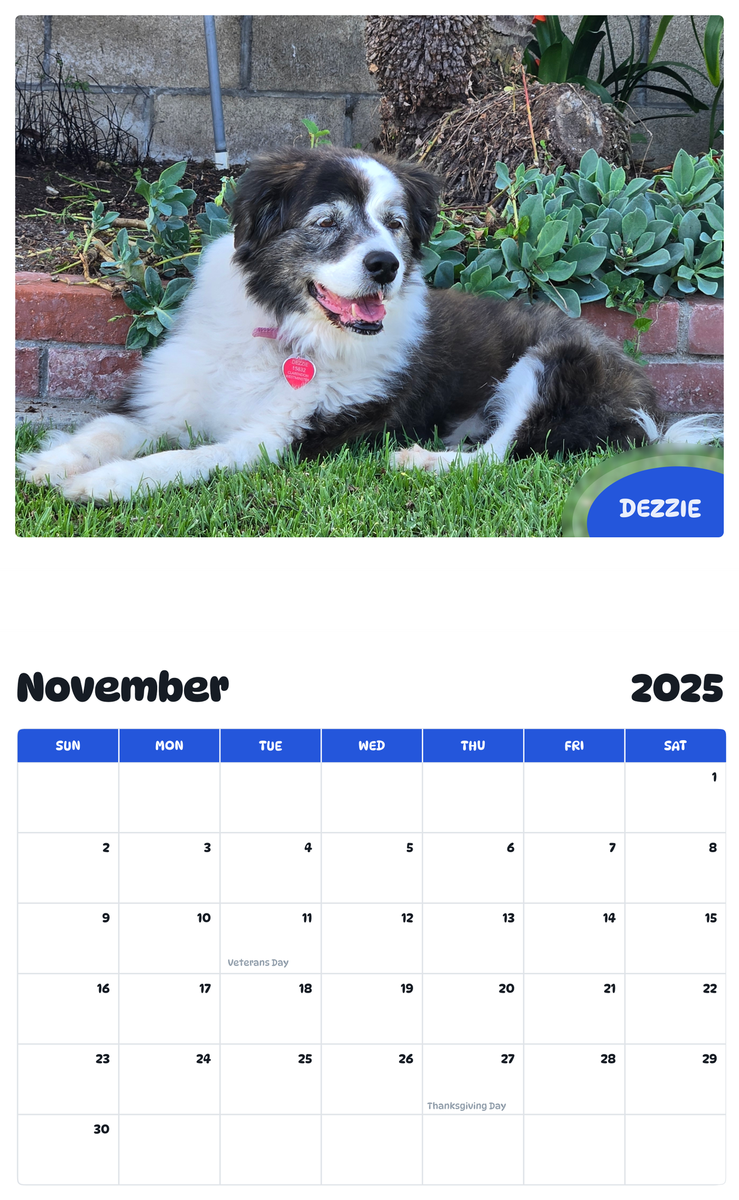 July 2025 - June 2026 Dezzie - Pawidols Pet Calendar
