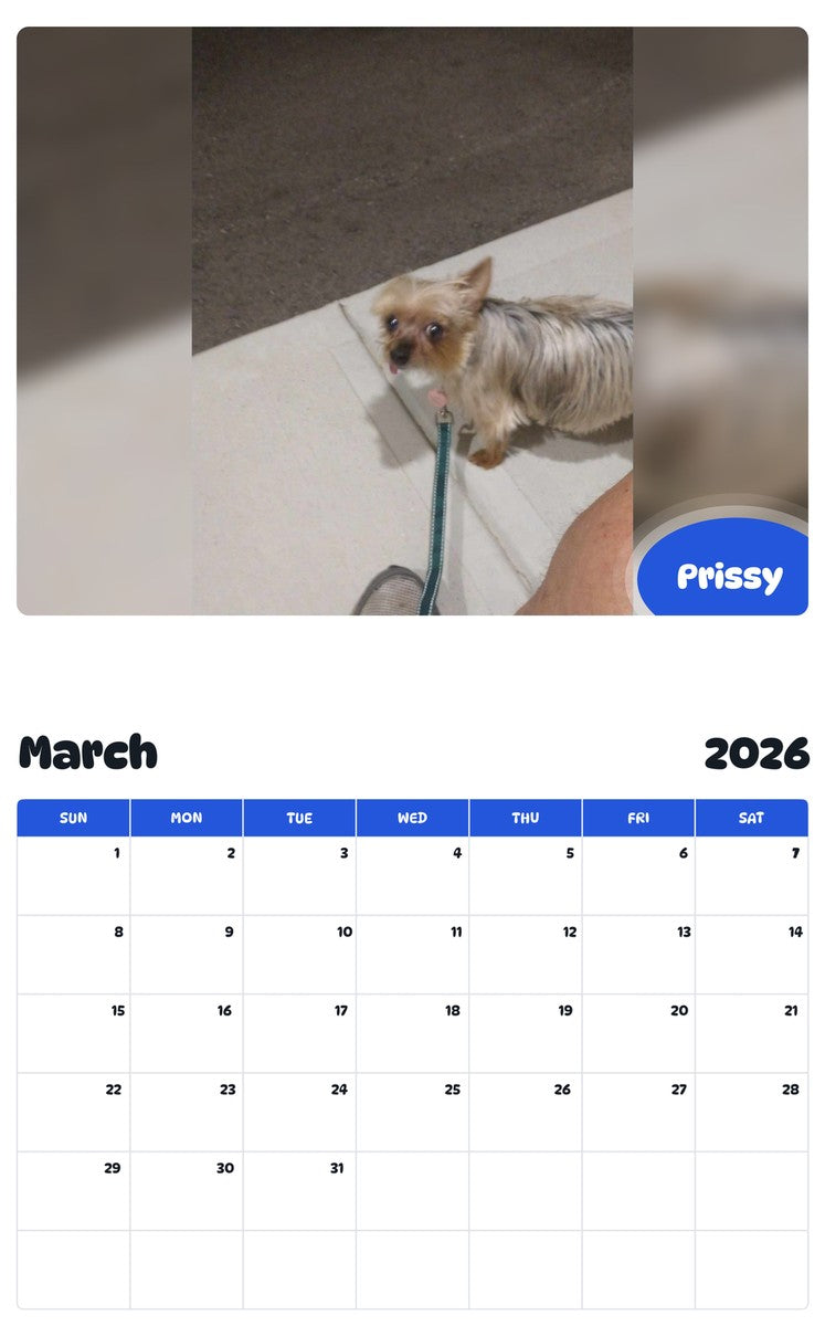 November 2025 - October 2026 Prissy - Pawidols Pet Calendar