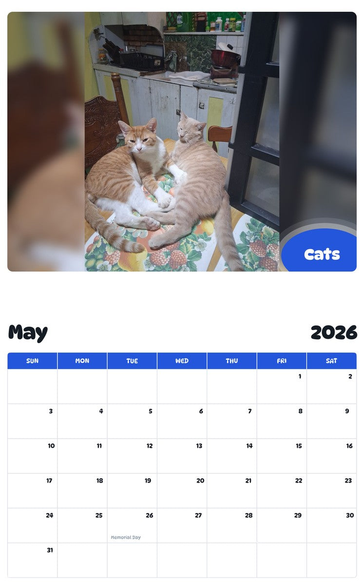 2026 - 2027 Cats - Pawidols Pet Calendar