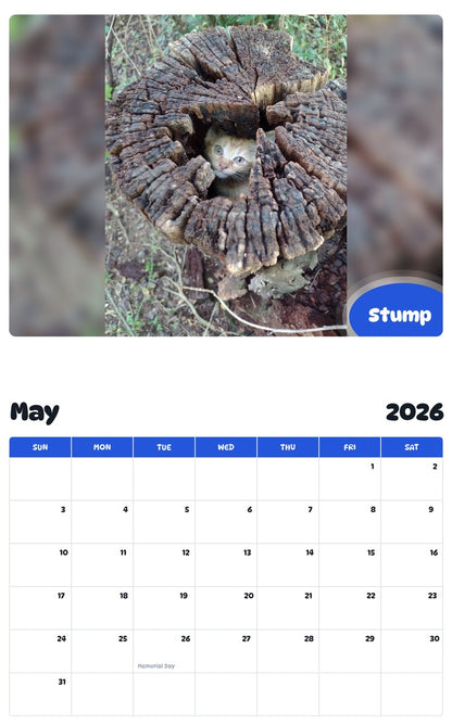 2026 - 2027 Stump - Pawidols Pet Calendar