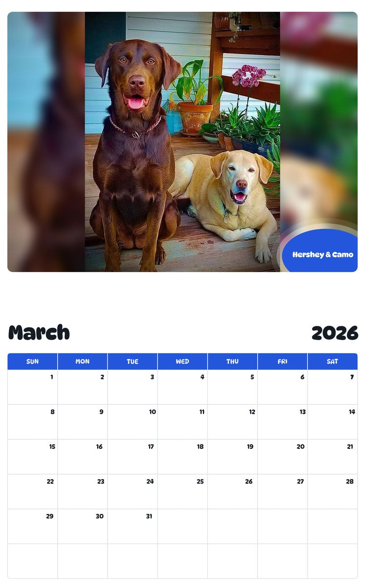 November 2025 - October 2026 Hershey & Camo - Pawidols Pet Calendar