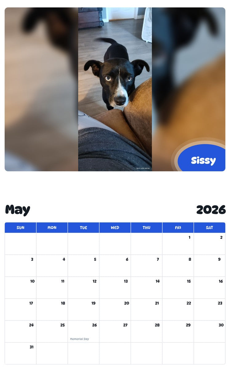 2026 - 2027 Sissy - Pawidols Pet Calendar