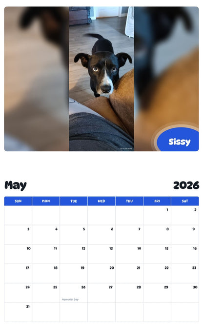 2026 - 2027 Sissy - Pawidols Pet Calendar
