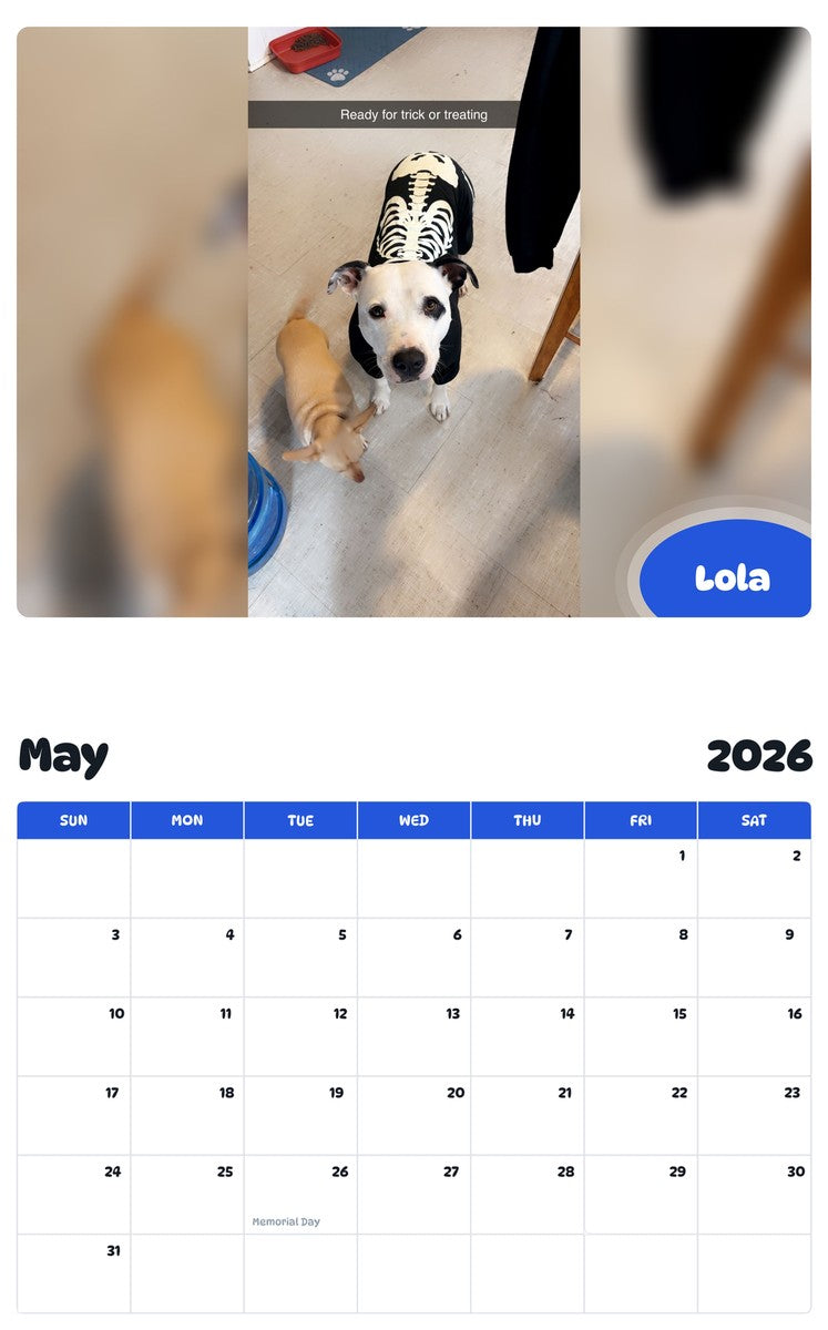 2026 - 2027 Lola - Pawidols Pet Calendar