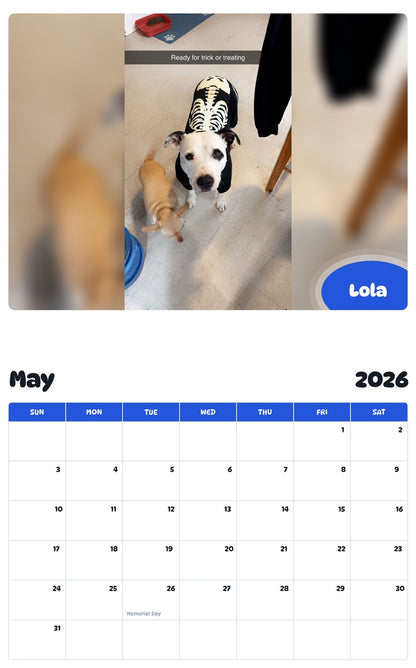 2026 - 2027 Lola - Pawidols Pet Calendar
