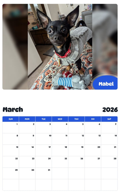 November 2025 - October 2026 Mabel - Pawidols Pet Calendar