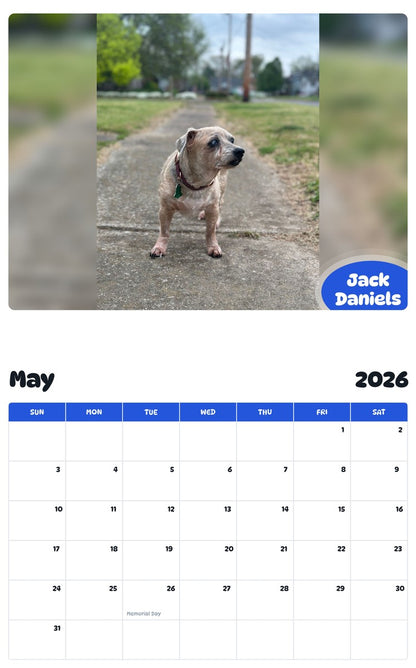2026 - 2027 Jack Daniels - Pawidols Pet Calendar