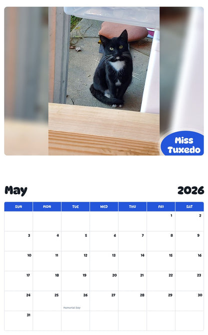 2026 - 2027 Miss Tuxedo - Pawidols Pet Calendar