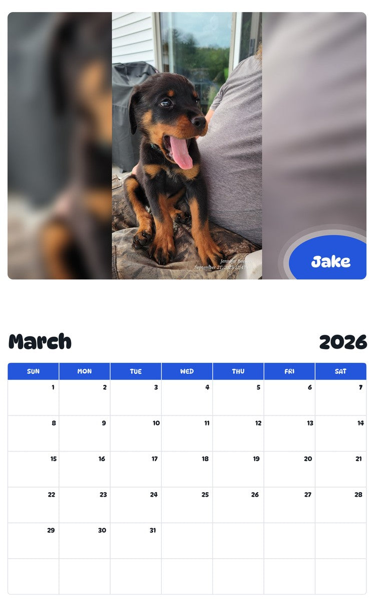 November 2025 - October 2026 Jake - Pawidols Pet Calendar