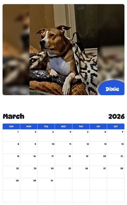 November 2025 - October 2026 Dixie - Pawidols Pet Calendar